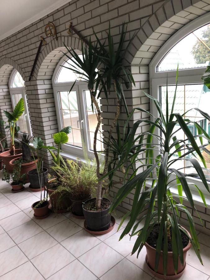 Frühstückspension Tiszavirag Panzio Es Ueduelokoezpont Tiszafüred